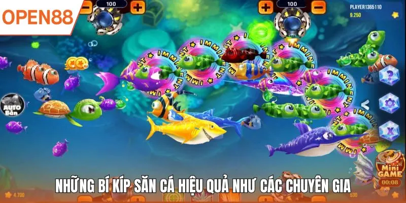 Những bí kíp săn cá hiệu quả như các chuyên gia